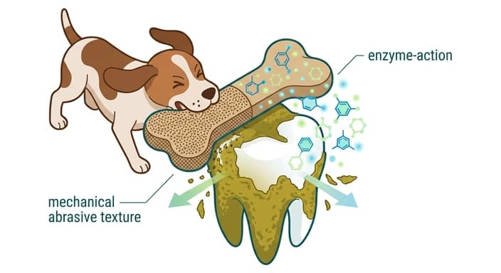 A dog chews a functional dental treat that visually demonstrates mechanical abrasion and enzymatic action on a tooth to disrupt biofilm.