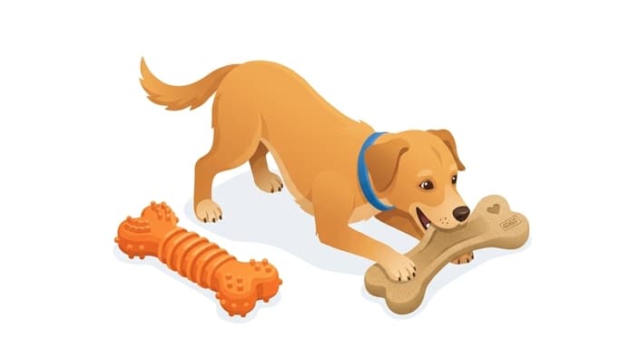 A dog chewing a dental chew and exploring a ridged interactive toy to support at-home dental care.