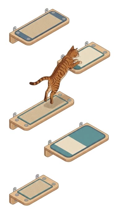 A young, athletic cat navigates a multi-tier vertical wall shelf setup with non-slip, high-traction surfaces.